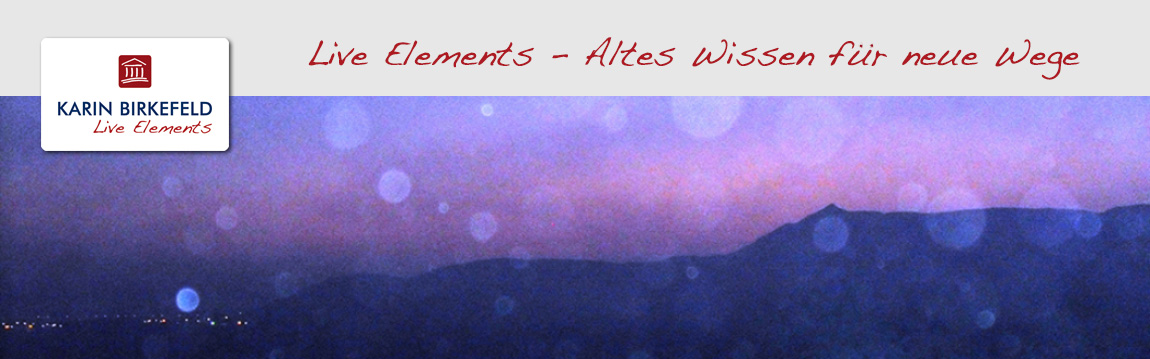 Live-Elements-wp